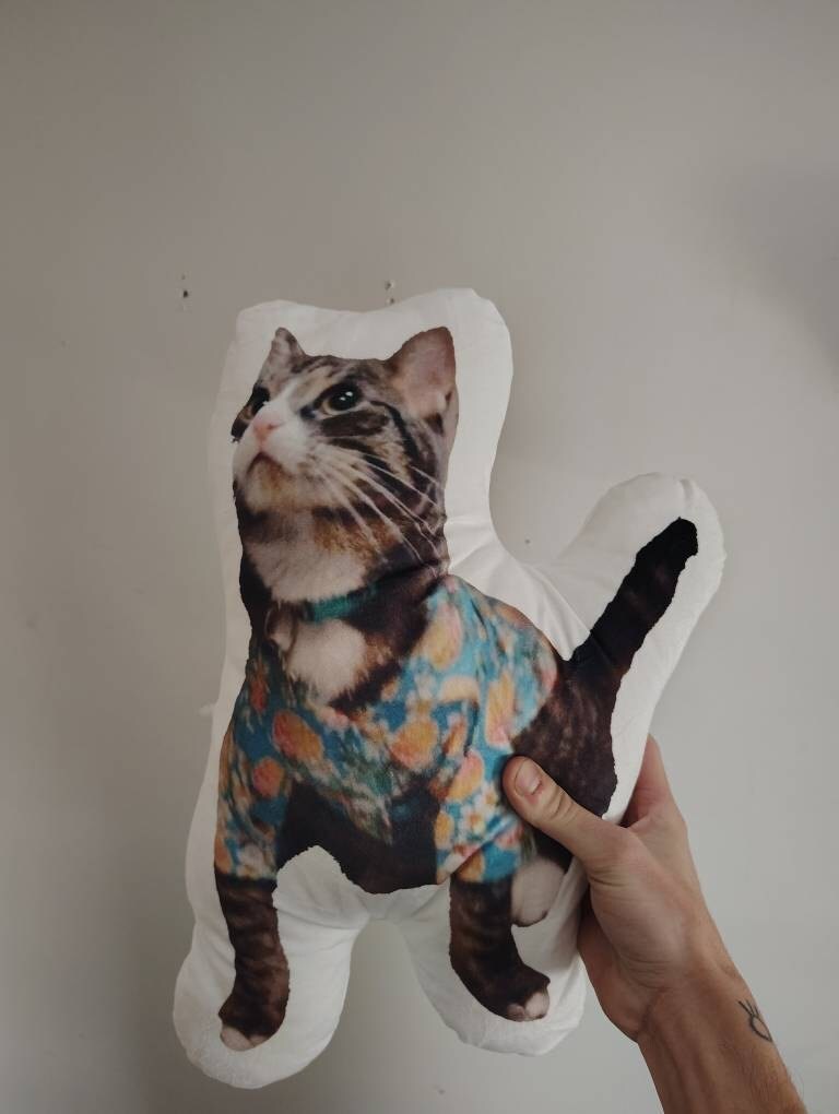 Personalized Pet Pillow, Custom 3D Pet Pillow, Ugly Pet Pillow, Pet Shaped Pillow, Pet Lover Gift, Gift for Cat Lover, Back to School Gift