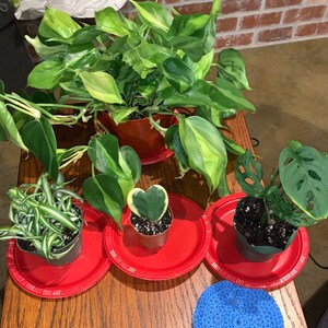 nursemom added a photo of their purchase