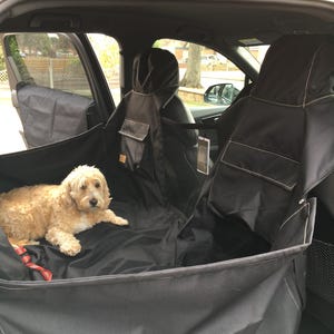 Sue added a photo of their purchase