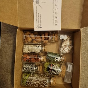 Stefania added a photo of their purchase