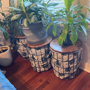 Samantha added a photo of their purchase