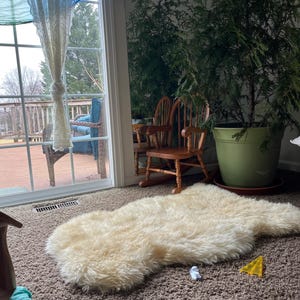 Candace added a photo of their purchase