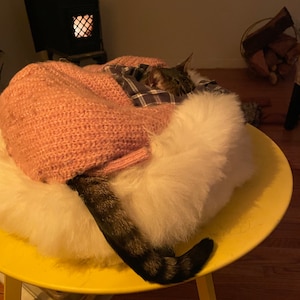 Ariana adicionaram uma foto da sua compra