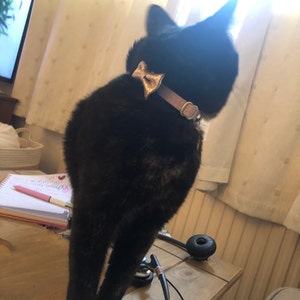 Claire added a photo of their purchase