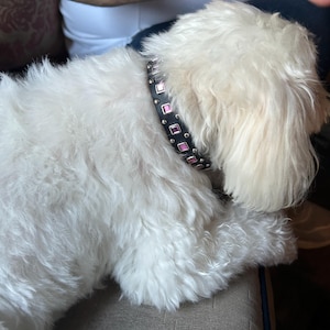 Margie added a photo of their purchase