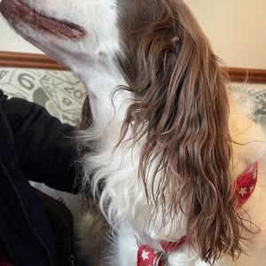 Jess ha añadido una foto de su compra