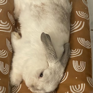 Cuccia Morbida Per Conigli E Piccoli Animali - 43.5x38cm, Con Cuscini E Fodera Reversibile, Colori Rosa E Grigio - Foto 10