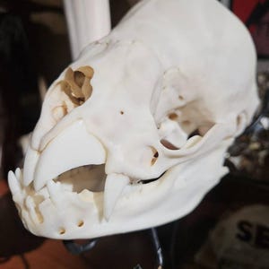 Jon ha añadido una foto de su compra