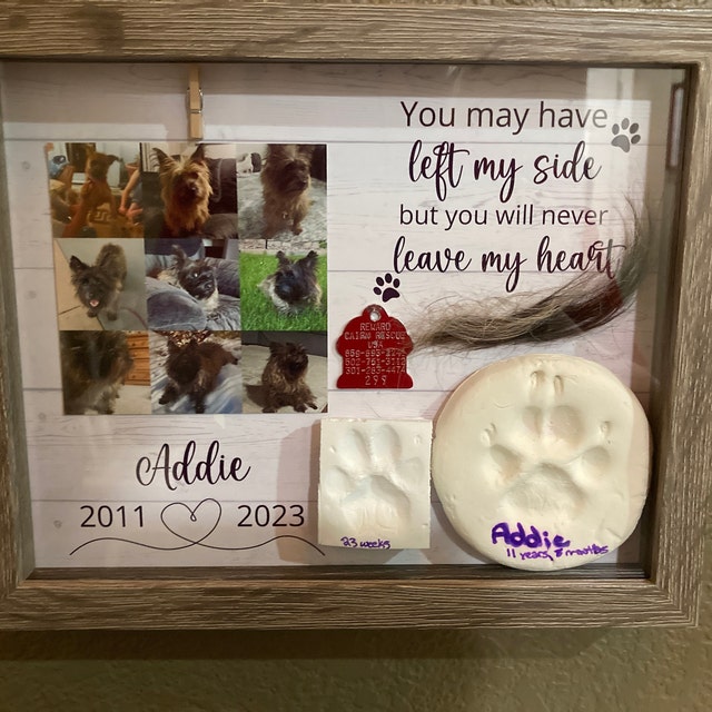 Marco Conmemorativo Para Mascotas - Incluye Kit De Huellas Y Espacio Para Foto Y Collar | Recuerdo Especial Para Perros Y Gatos