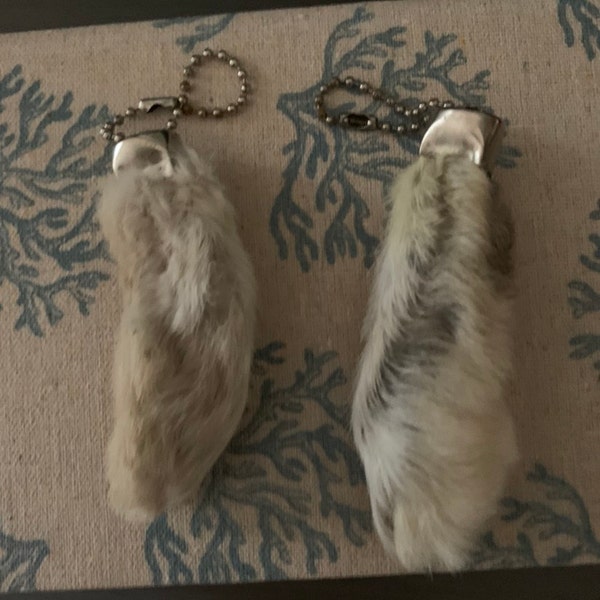 Lucky Rabbitit Foot Lucky Rabbit's Foot Genuine Rabbit's Feet Key Chains Qty 2 Feet for ...