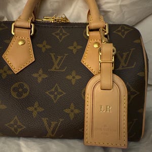 Luggage Tag / Bag (or Charm) Clips for Louis Vuitton (LV Luggage Tag / Bag (or Charm) Clips for Louis Vuitton (LV