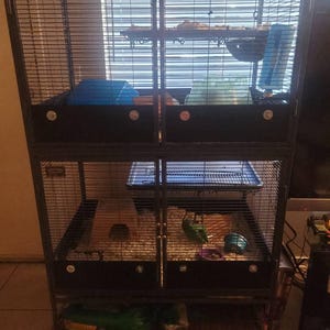 Ellysia added a photo of their purchase