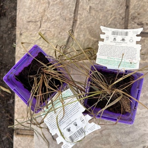 Maribeth a ajouté une photo de son achat