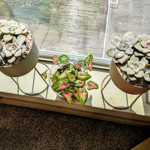 Dr. added a photo of their purchase