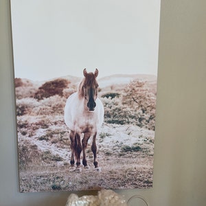 Emily added a photo of their purchase