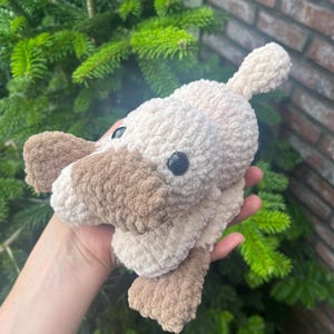 Iris added a photo of their purchase