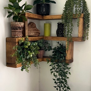 Paula added a photo of their purchase