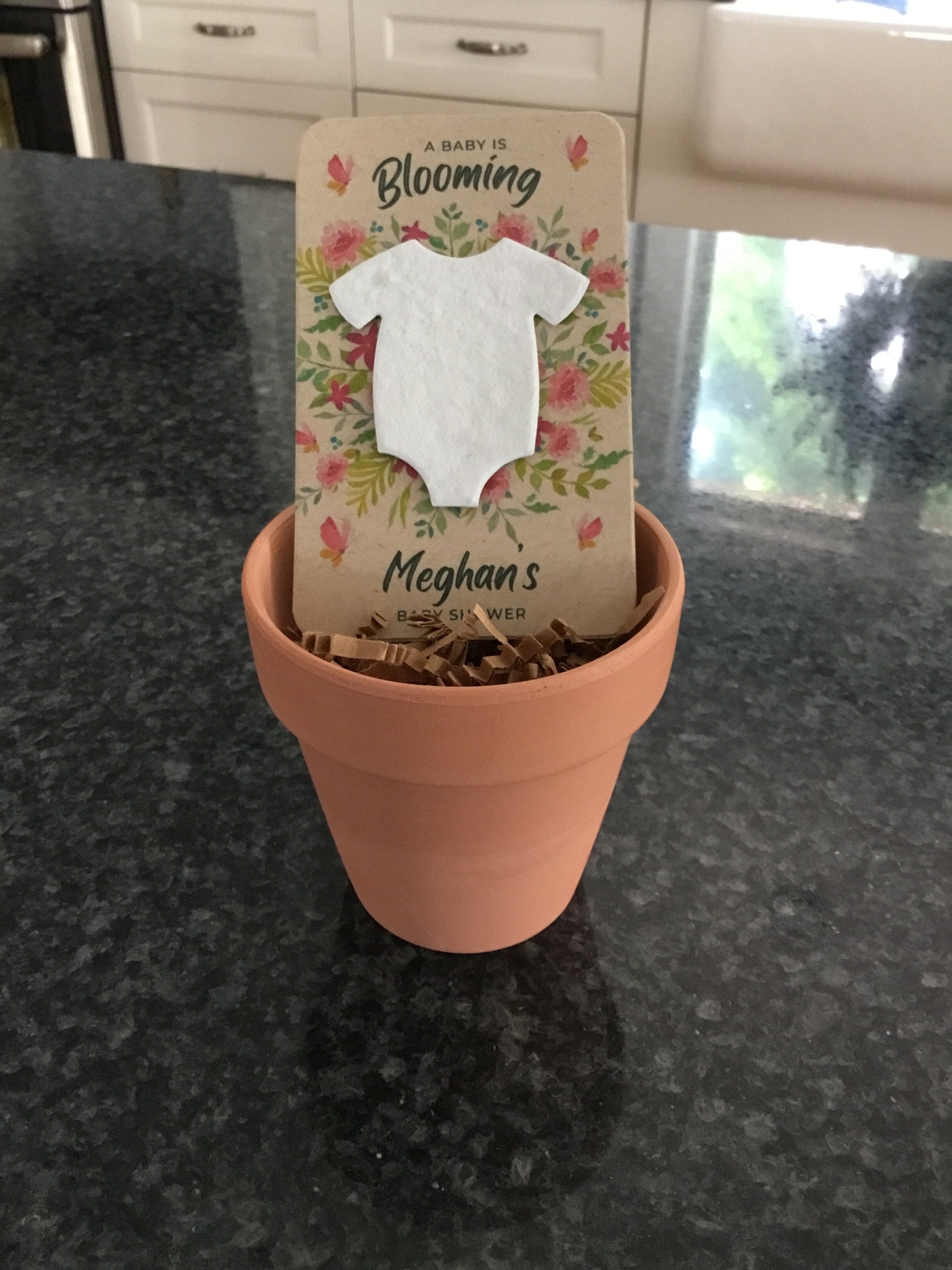 Baby In Bloom Baby Shower Favors For Guests - Wildflower Seed Packets Alternative - Good For Goodie Bags or Prizes