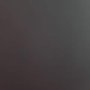 Inactive account added a photo of their purchase