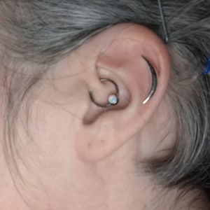 lpwalrus added a photo of their purchase