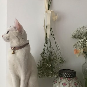 Antoinette added a photo of their purchase