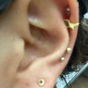 Christina added a photo of their purchase