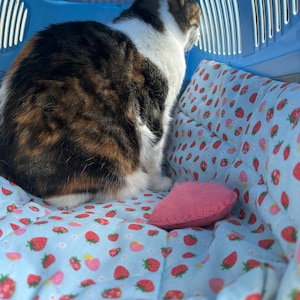 Sara heeft een foto van de aankoop toegevoegd