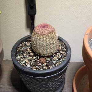 Kristin added a photo of their purchase