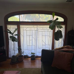 Grace added a photo of their purchase