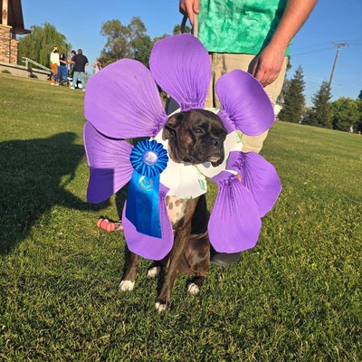 DIY Rave Flower Hat Tutorial - Etsy