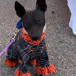 Kellye heeft een foto van zijn/haar aankoop toegevoegd