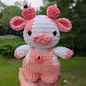 Caroline added a photo of their purchase