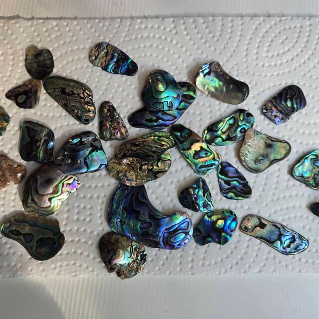 Abalone Paua NZ Shell Pieces 40g / Approx 20 Pcs of Irregular