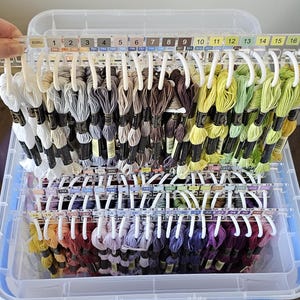 Rae added a photo of their purchase