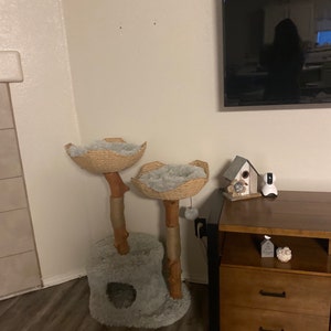 Cool Cat Tree Furniture Diy Cat Tree Wooden Cat Tree