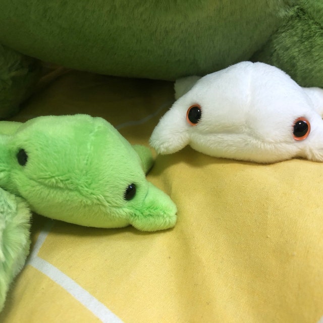Jhijhoo Super Soft Frog Stuffed Aniaml, Cute Frog Plush Toy, Long-Leg Plush Frog Doll, Adorable Stuffed Frog Plushies Gift For Kids Children Baby Girl