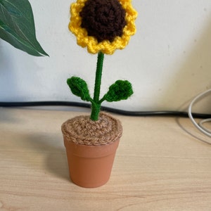 Fin added a photo of their purchase