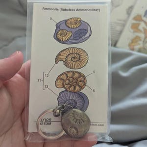 Rachel added a photo of their purchase