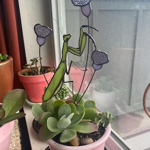 Jane added a photo of their purchase