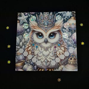 Catz added a photo of their purchase