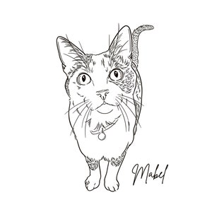 Carol added a photo of their purchase