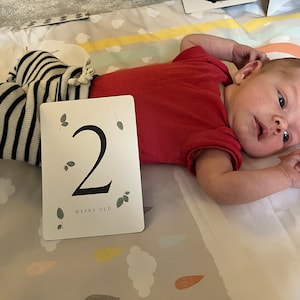 Yasmynn adicionaram uma foto da sua compra