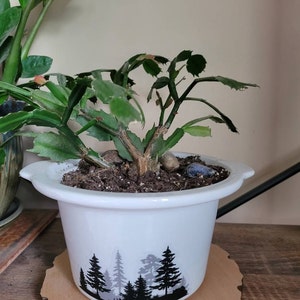 Leda added a photo of their purchase