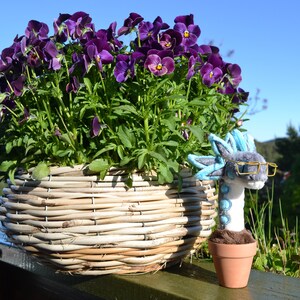 Yngve added a photo of their purchase