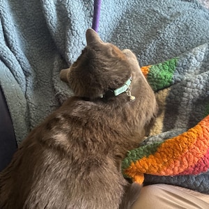 Patricia added a photo of their purchase