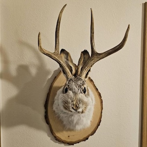 Marissa added a photo of their purchase