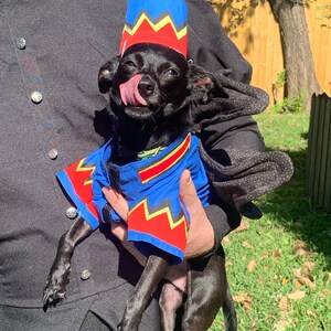 insulated dog house near me