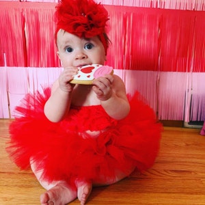 First Birthday Photo Outfit, Baby Girl Photo Outfit, Tutu and Lace Tutu ...