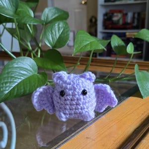 Jen added a photo of their purchase