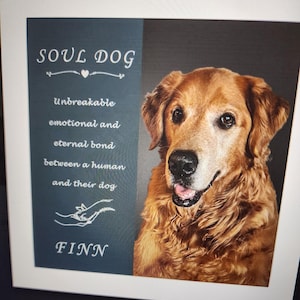 Angel added a photo of their purchase